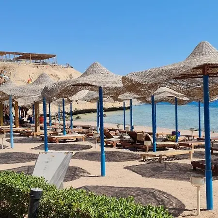 Sharks Bay Oasis Resort & Butterfly Diving Center
