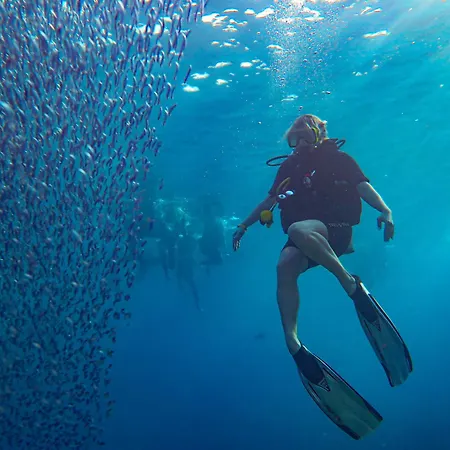 Sharks Bay Oasis Resort & Butterfly Diving Center