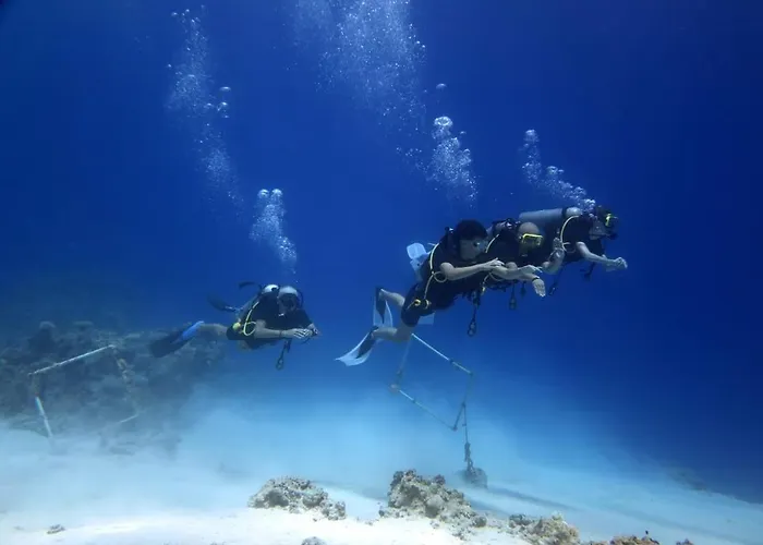 Sharks Bay Oasis & Butterfly Diving Center Otel 4*