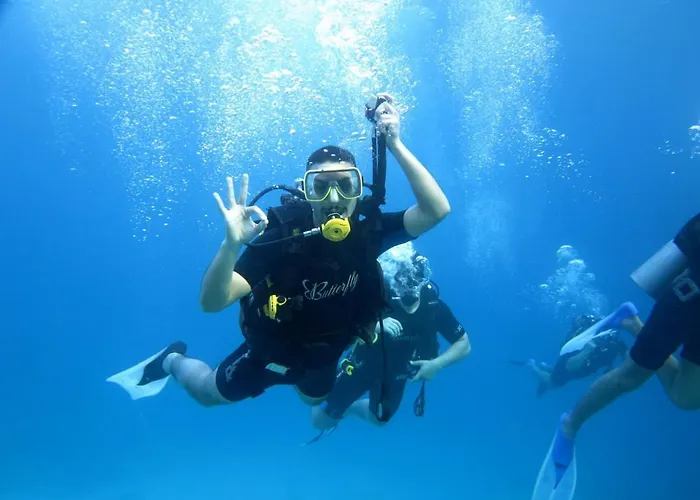 Sharks Bay Oasis & Butterfly Diving Center