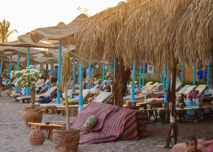 Sharks Bay Oasis & Butterfly Diving Center Otel