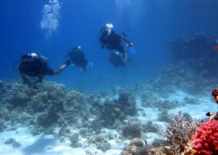 Sharks Bay Oasis & Butterfly Diving Center 4* Şarm El-Şeyh