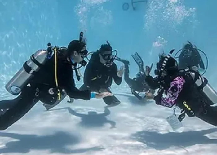Sharks Bay Oasis & Butterfly Diving Center Şarm El-Şeyh