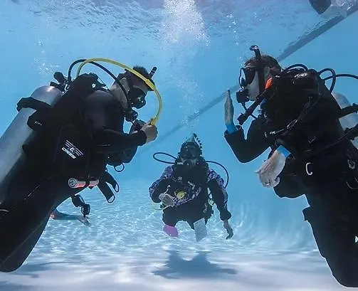 Sharks Bay Oasis & Butterfly Diving Center 4* Şarm El-Şeyh