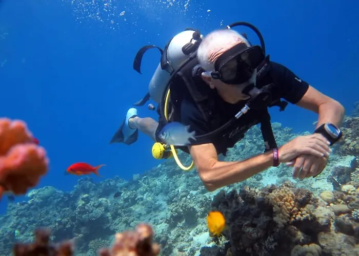 Sharks Bay Oasis & Butterfly Diving Center