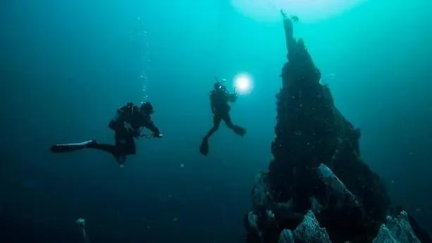 Sharks Bay Oasis & Butterfly Diving Center 4* Şarm El-Şeyh