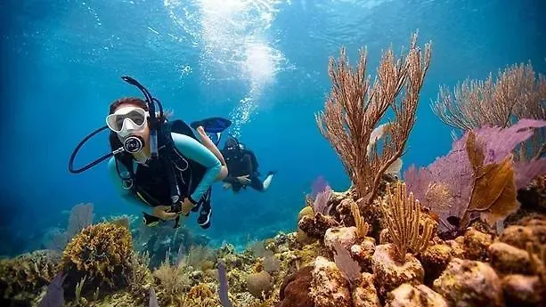 Sharks Bay Oasis & Butterfly Diving Center