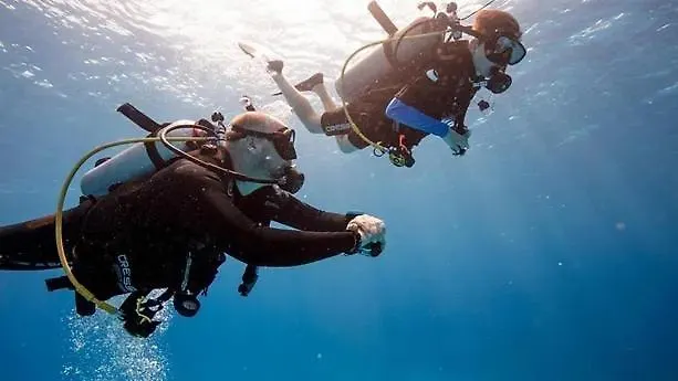 Sharks Bay Oasis & Butterfly Diving Center 4* Şarm El-Şeyh