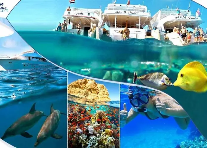 Otel Sharks Bay Oasis & Butterfly Diving Center