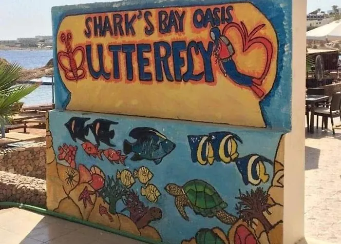 Sharks Bay Oasis & Butterfly Diving Center Otel 4*