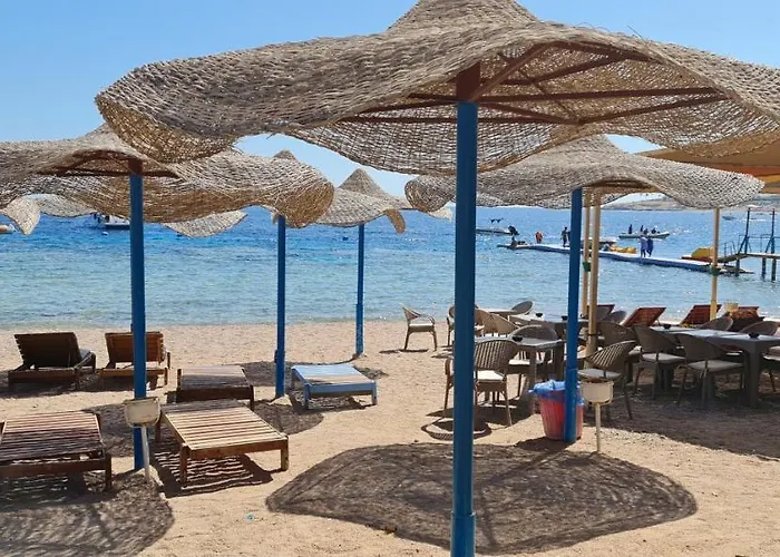 Otel Sharks Bay Oasis & Butterfly Diving Center 4*