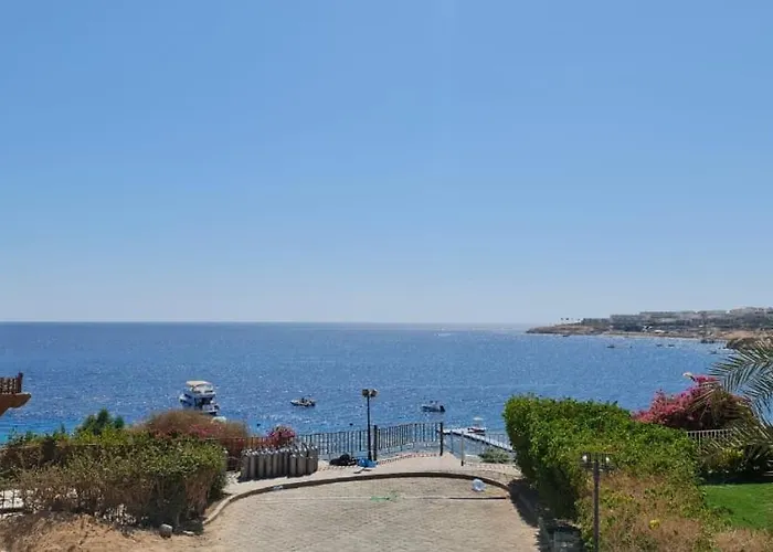 Otel Sharks Bay Oasis & Butterfly Diving Center 4*