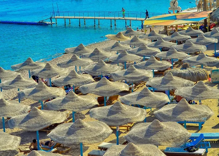 Otel Sharks Bay Oasis & Butterfly Diving Center Şarm El-Şeyh