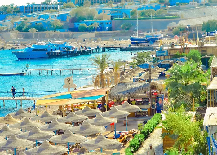 Otel Sharks Bay Oasis & Butterfly Diving Center