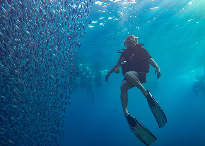 Otel Sharks Bay Oasis & Butterfly Diving Center