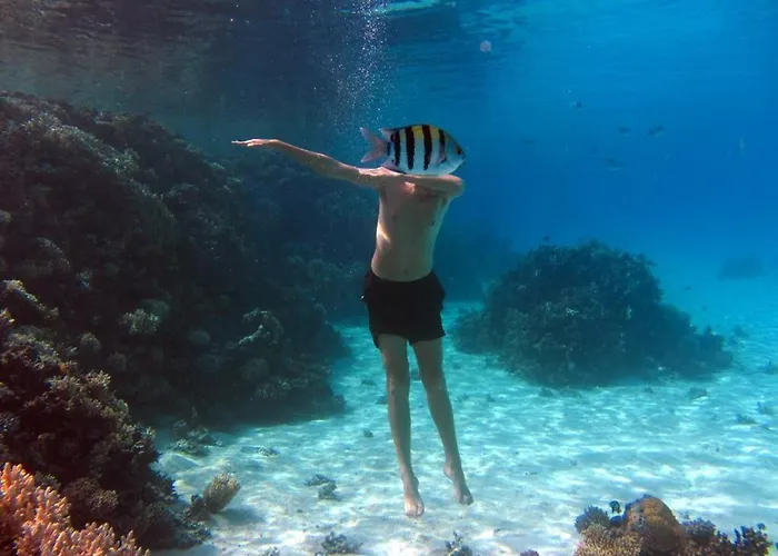 Sharks Bay Oasis & Butterfly Diving Center Şarm El-Şeyh