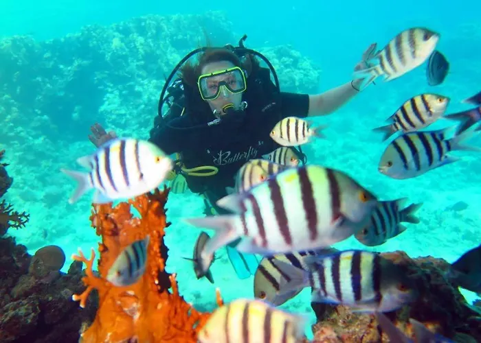 Otel Sharks Bay Oasis & Butterfly Diving Center 4*