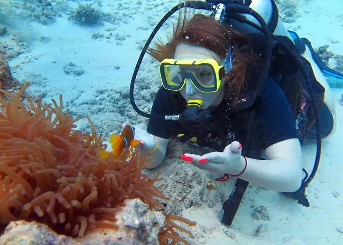 Sharks Bay Oasis & Butterfly Diving Center Şarm El-Şeyh