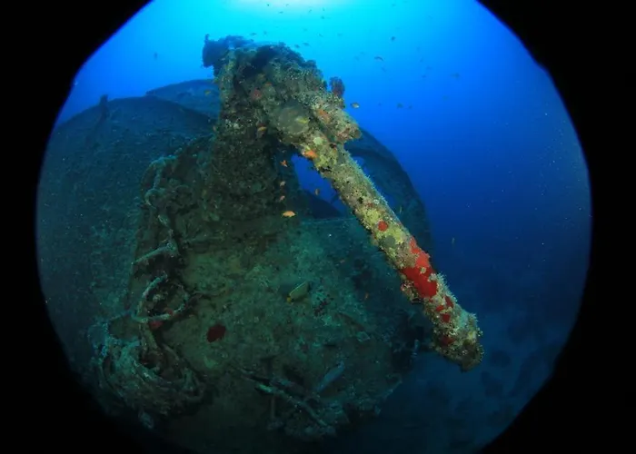 Otel Sharks Bay Oasis & Butterfly Diving Center Şarm El-Şeyh